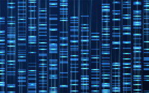 PHTweb SS Deltamethrin DNA 248645246