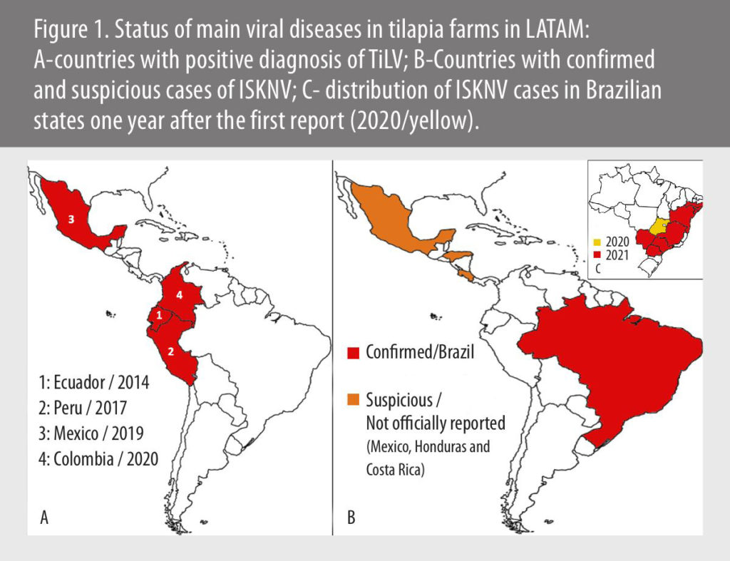 Emerging tilapia diseases