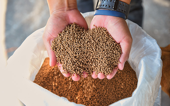 Fish feed, Aquaculture farmers hand hold food for feeding fish i