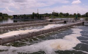 FFFweb_in pond_raceway_IMG_