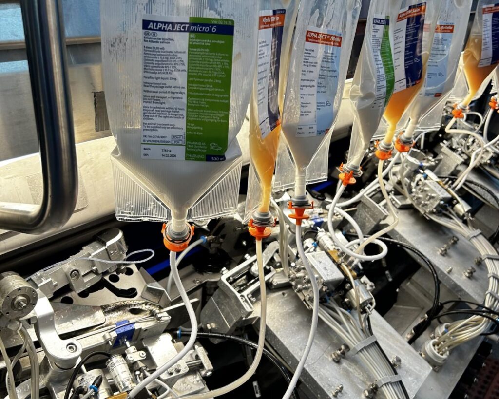 Fish Inject Why small vaccine doses are now the norm in aquaculture - Fish Farm Forum